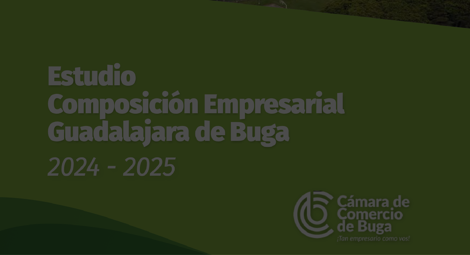 Imagen destacada - ESTUDIO ECONÓMICO COMPOSICIÓN EMPRESARIAL GUADALAJARA DE BUGA 2024-2025